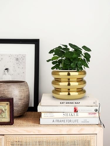 Briful Gold Ceramic Planter Pot with Drainage Hole 6in Polished Tiered Bubble Flower Planter Garden Pot for Indoor Plants Modern Home Office Decor - Image 6