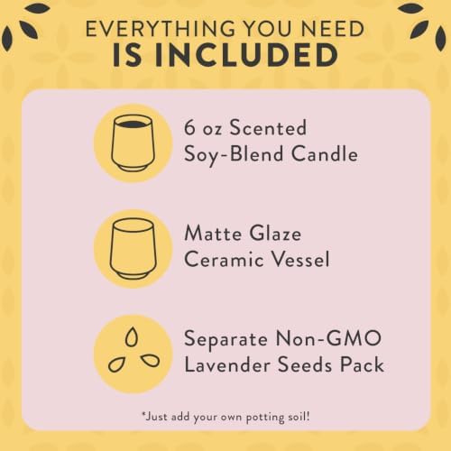 Modern Sprout Soy Candle Planter - Grows Lavender - Cedarwood Scent - 6 oz - Image 3