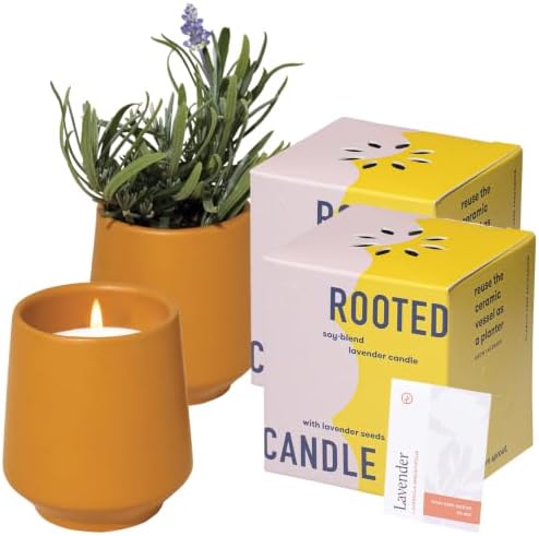 Modern Sprout Soy Candle Planter - Grows Lavender -Cedarwood Scent - 2-Pack by ModernSprout