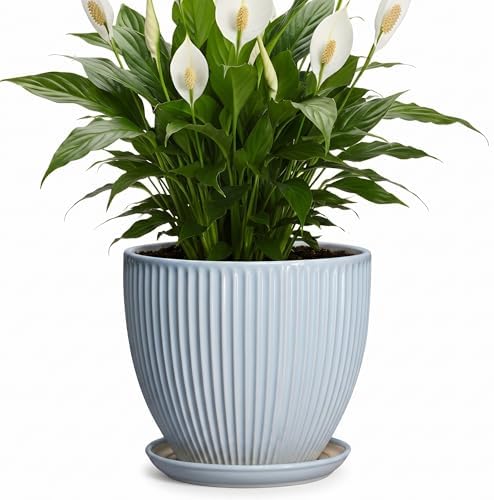 8 Inch Plant Pot Indoor, Ceramic Flower Pots with Drainage Hole and Saucer, Round Plant Pot for Indoor House Plants, Modern Plant Pot Indoor, Office Home Decor, House Warming Gifts, Light Blue by Unknown