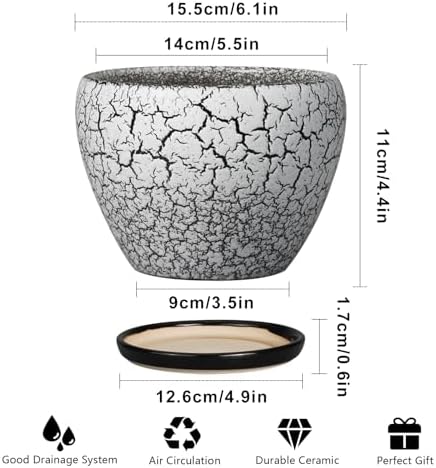 Ceramicfor Ceramic Planter Pot - 6 Inch Plant Pot with Drainage Hole and Saucer, Succulent Pot Glaze Round for Indoor Outdoor Plants, White and Black - Image 3