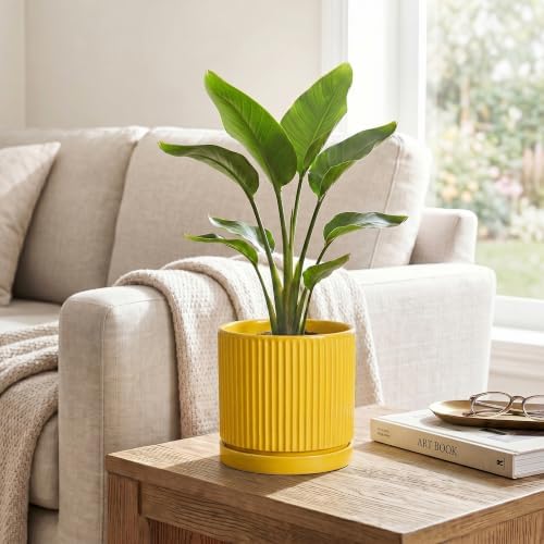 6 Inch Pots for Plants, Ceramic Planters with Saucer, Yellow - Image 5