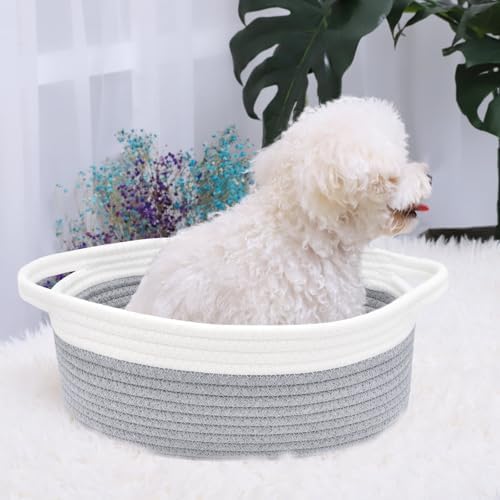 ABenkle Small Basket with Handles, Boho Decorative Rope Woven Dog Cat Toy Storage Bin Shelf Storage Organizer, Easter Christmas Gift Basket, 12"x8"x5", Grey - Image 3