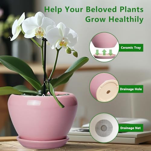 Ceramicfor 10 Inch Plant Pot - Ceramic Planter for Indoor Plants, Glaze Modern Round Planter with Drainage Hole and Saucer, Gifts for Plant Lovers, Office Patio Home Room Decor, Pink - Image 5