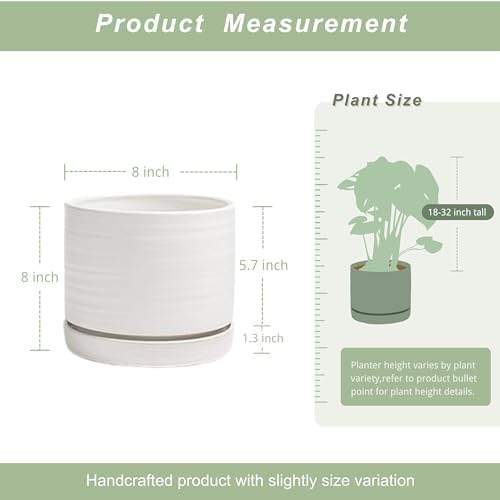 HERDUK 8 Inch Pots for Plants, Ceramic Planter Pot with Drainage Hole & Saucer, Indoor/Outdoor Cylinder Round Planter Pot, Matte White - Image 3