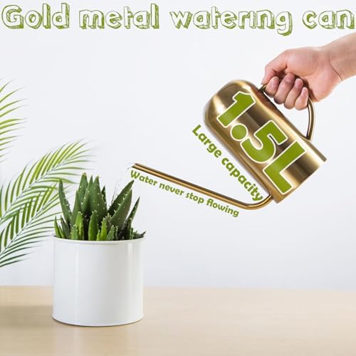 Watering Can Indoor Outdoor Plants, 50oz/1500ml Garden Long Spout Watering Cans, Stainless Steel Plants Watering Can Pot for Indoor House Plants Bonsai Flower Decorative - Image 2