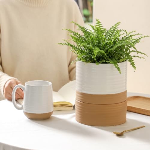HASENSE Self Watering Plant Pot, 6 Inch Porcelain Planter with Drainage Hole and Saucers for Indoor & Outdoor Plants, Round Flower Pots for Houserwarming Gift, White - Image 6