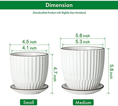 D'vine Dev 2-Pack Stoneware Planter Pots, 4.5/5.8 in, Ivory, 99-D-1 - Image 3