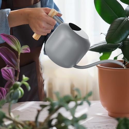 Green Moon 1.2L/41oz Metal Metal Watering Can with Long Spout, Gray - Image 5