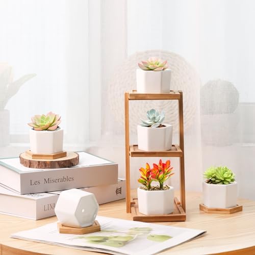 T4U Small Succulent Pots 12 Pack, Mini Flower Planters with Drainage White - Image 4