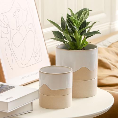 Nihow Self Watering Plant Pot: 4.5 Inch Ceramic Planter with Drainage Hole & Water Storage Plus for Indoor & Outdoor Plants - Cylinder Flower Pot for Herbs/Violets - White & Nature - Image 4