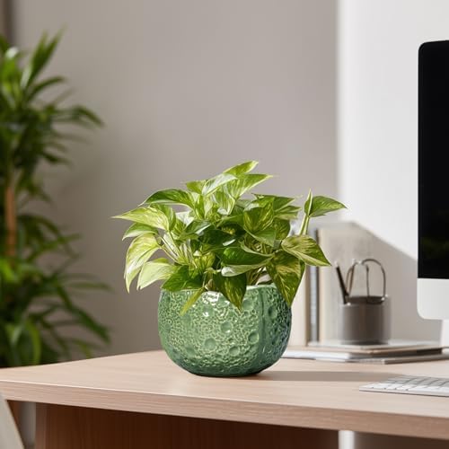 6 Inch Plant Pot - Orchid Pot with Drainage Hole, Ceramic Planter for Indoor Outdoor, Decorative Plant Pots, Modern Round Unique Flower Pots, Living Room Decor, Gifts for Women Men, Green - Image 7