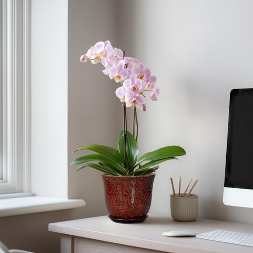 Ceramic Plant Pots - 5.6 Inch Plant Pot Indoor Outdoor, Small Planter with Drainage Hole and Saucer, Round Planter, Orchid Succulent Pots, Garden Room Decor, Gardening Gifts for Women, Red - Image 3