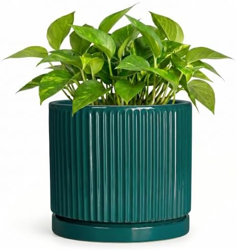 Ceramic Planter, 6 Inch Pots for Plants with Tray, Blackish Green by Unknown