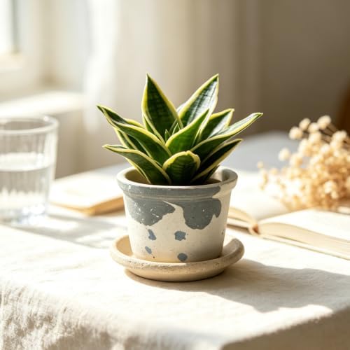 2.6 Inch Mini Ceramic Planter Pot with Drainage Hole and Saucer, Round Flower Pot for Indoor Plants, Cactus Herbs Windowsill Decor(White&Grey) - Image 5