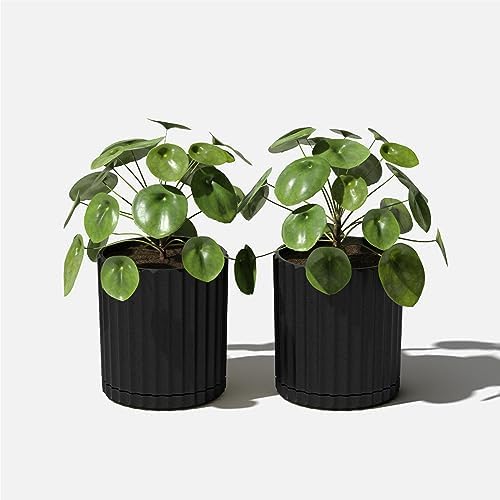 Veradek Demi Series Demi 6" Planter w/Tray - Black, 2 Pack - Image 6