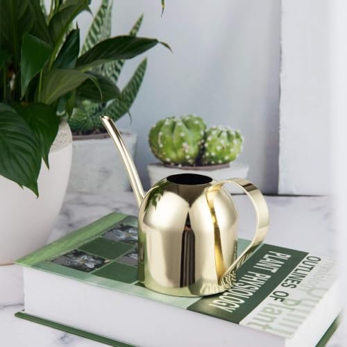 IMEEA 15oz Mini Indoor Watering Can for Small Plants Stainless Steel Watering Can with Long Spout for Desk, Windowsill & Bonsai (Gold) - Image 5
