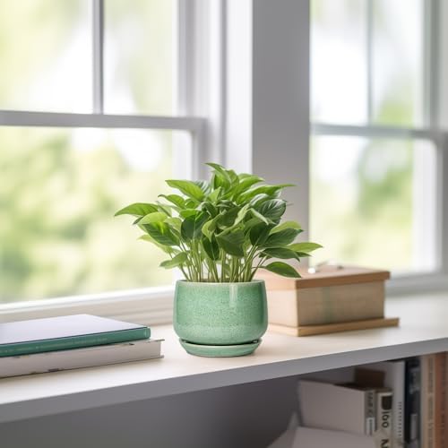 G EPGardening Ceramic Plant Pot - 4 inch Plant Pots with Drainage Hole & Saucer, Small Pots for Plant Indoor Outdoor, Modern Round Planter, Decorative Flower Pot, Room Decor, House Warming Gift, Green - Image 6