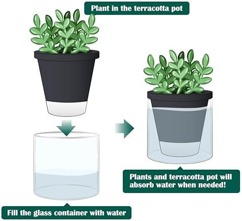 D'vine Dev Self-Watering Black Terracotta Planter, 4 in, 2-Pack, 37-Y-A-3 - Image 5