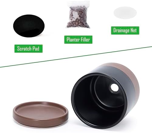 D'vine Dev 2-Pack Ceramic Pots with Saucers, Black/Tan, 3.5 in, 94-V-A-7 - Image 4