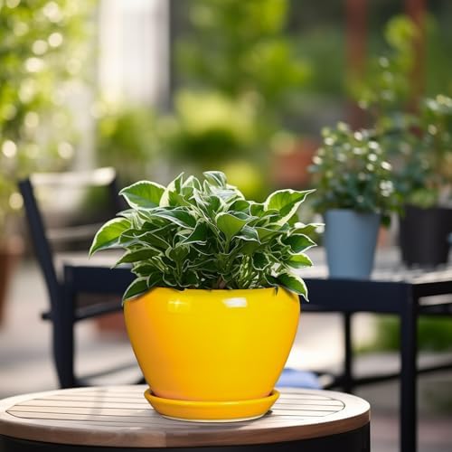 Ceramicfor Ceramic Pot for Plants - 6 Inch Plant Pot Glaze Modern Decorative Round Planter with Drainage Hole and Saucer for Home Patio Room Office House Decor, Yellow - Image 4