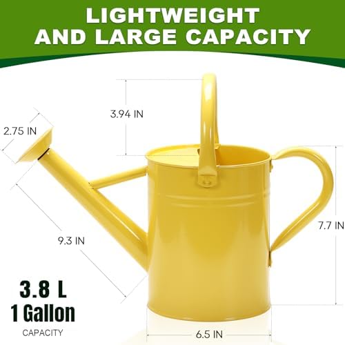 Metal Watering Can with Removable Spout, Galvanized, Perfect for Indoor and Outdoor Use (1 Gallon, Yellow) - Image 2