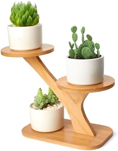 XXXFLOWER Wood Plant Stand for Indoor Small Desktop Plant Stand by XXXFLOWER