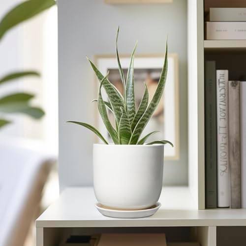 Indoor Plant Pot 5 Inch - Round Ceramic Planter for Succulent Plants with Drainage Hole and Saucer, Modern Home Decor, White - Image 5