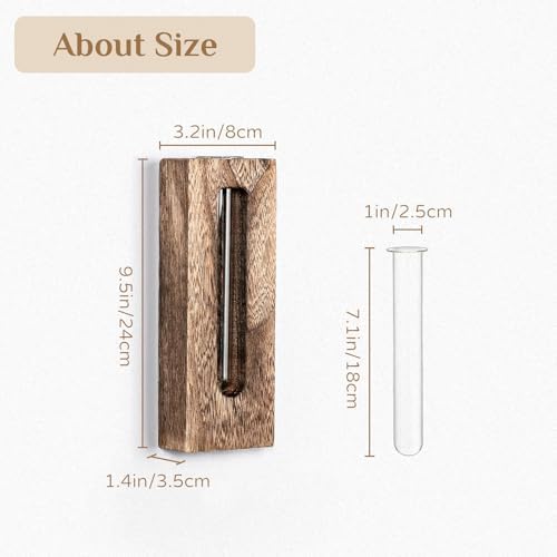 Wood Wall Vase with Glass Tube for Plant Propagation - Image 5