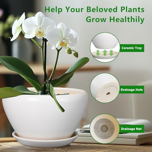Ceramicfor Ceramic Planter for Indoor Plants - 11 Inch Plant Pot with Drainage Hole and Saucer Decorative Round Large Planter Pot for Plants Outdoor Flower Pot for Garden White - Image 6