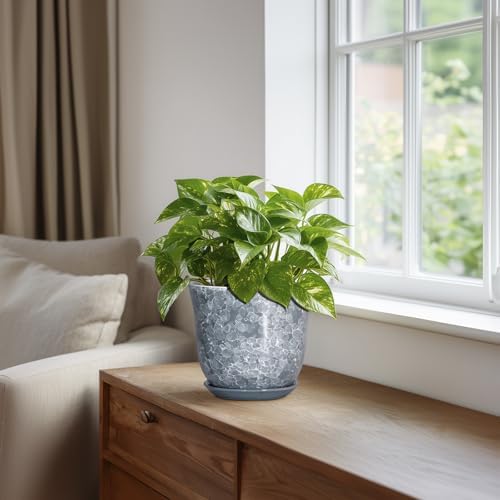 Ceramic Planter, 6 Inch Plant Pot for Indoor Plants, Grey - Image 5