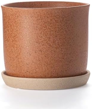 8 Inch Ceramic Plant Pot with Drainage Hole & Separate Saucer by Chubacoo