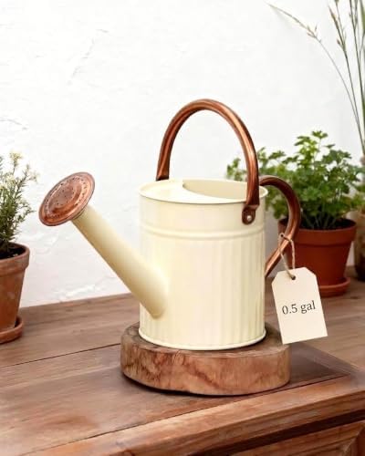Bamworld Metal Watering Can for Indoor Outdoor Plant 1/2 Gallon Creamy by Bamworld