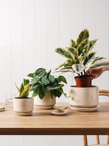 LE TAUCI Ceramic Plant Pots, 4.3+5.3+6.8 inch, Set of 3, Planters with Drainage Hole and Saucer, Indoor Flower Pot with Hole Mesh Pad, Gifts for Mom, Reactive Glaze Beige - Image 4