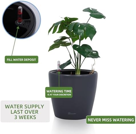Dexceder 9x8 Self Watering Planter (Slate Gray Matte) - Image 5