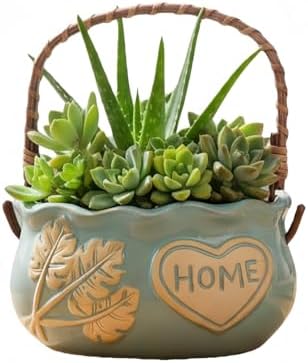 Ceramic Succulent Planter Pots, 4 Inch Small Ceramic Plant Pot with Drainage Holes Flower Pots for Cactus, Herbs, Outdoor Plants (Blue) by SUSOYAOCHEN