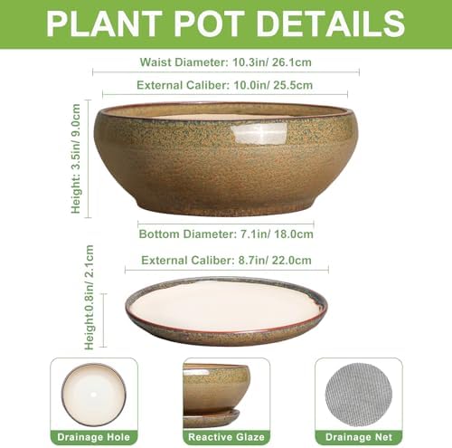 SQOWL Bonsai Planter, 10 Inch Ceramic Succulent Pots with Saucer, Brown - Image 2