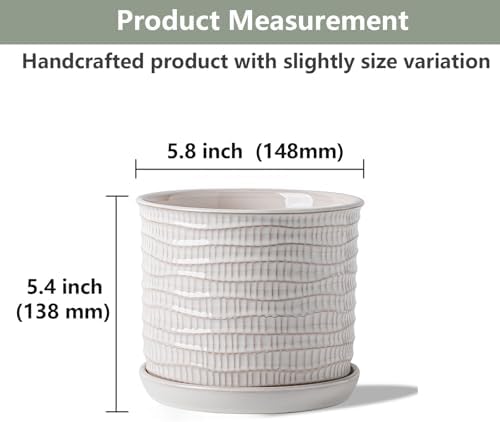 5.8 Inch Ceramic Planter with Drainage Hole & Bonded Saucer - Image 2