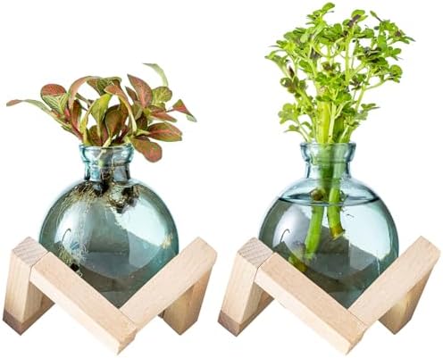 Plant Propagation Station, Plant Terrarium with Wooden Stand for Hydroponic Plant Propagation, Propagation Vases for Plants, Green Glass Bulb Vases for Home Office Decor (2) by wangsdjy