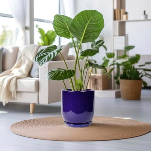 Ceramic Planter - 12 Inch Pots for Plants Ceramic Plant Pot Indoor with Drainage Hole and Saucer Large Planter Flower Pot Outdoor for Home Garden Decor Blue - Image 2