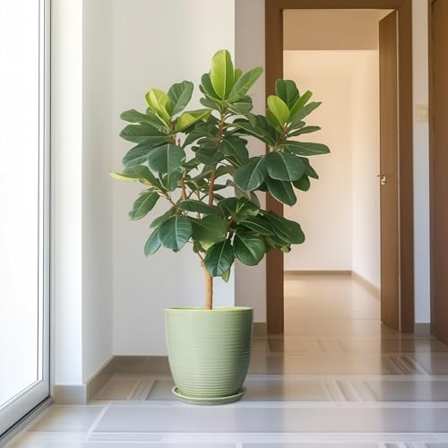 12 Inch Pots for Plants - Round Ceramic Planter with Drainage Hole and Plant Saucer for Flower Indoor Outdoor, Modern Room Office Home Garden Decor, House Warming Gifts, Green - Image 2