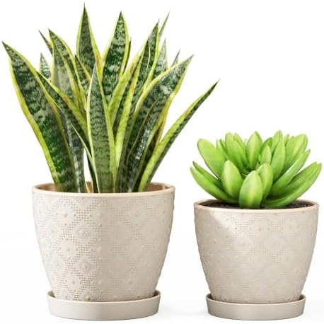Docrin Ceramic Plant Pots Indoor, 6.6 + 5.5 Inch Planters with Drainage Holes and Saucer for Home/Office - Set of 2 /White by DOCRIN
