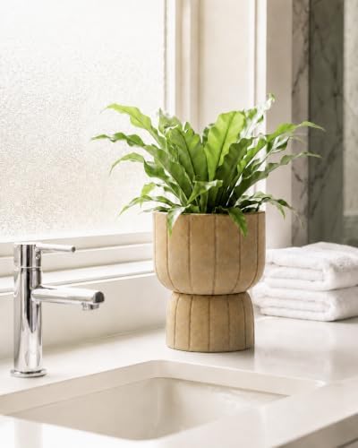 Self Watering Pots for Indoor Plants, 6 Inch Ceramic African Violet Pot - Image 4