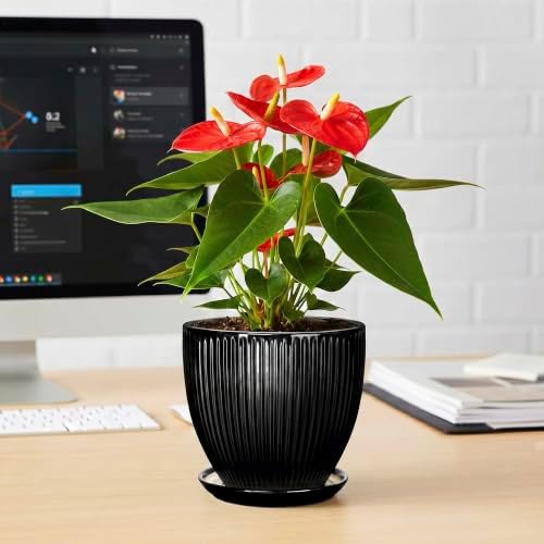 6 Inch Ceramic Planter, Indoor Plant Pots for Small Plants, Decorative Flower Pots with Drainage Hole and Saucer, Round Pot for Plants, Office Bathroom Decor, Gifts for Plant Lovers, Black - Image 6