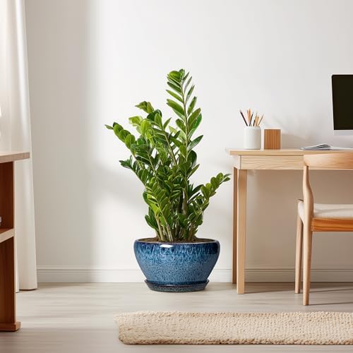 Ceramicfor Ceramic Planter 11 Inch - Ceramic Pots for Plants Indoor Outdoor, Large Plant Pot with Drainage Hole and Saucer, Decorative Round Planter, Plant Lover Gifts, Garden Decor, Blue - Image 6