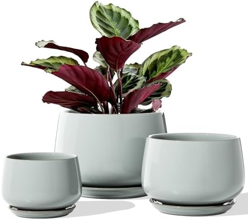LE TAUCI Plant Pots for Indoor Plants, 4.1+5.1+6.5 inch, Set of 3, Ceramic Planters with Drainage Hole and Saucer, Indoor Flower Pot with Hole Mesh Pad, Gifts for Mom, Reactive Glaze Blue Gray by LETAUCI