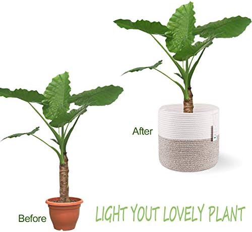 Woven Cotton Rope Plant Basket for 11 Pot (12" x 12", Khaki) - Image 2