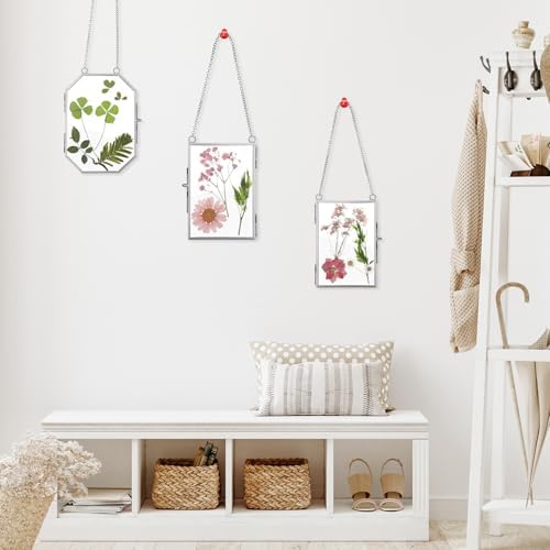 Bucherry 5 Pcs Glass Frame for DIY Pressed Flowers Art Hanging Photo Picture Frame with Chain and 6 Styles Pressed Flowers Collage Glass Craft Frames for Wall Decor Display Gallery (Silver) - Image 5