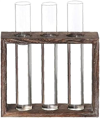 Tube Shape Glass Vase with 3 or 5 Holes Wood Stand Decoration Flower Vontainer for Hydroponics Plant Transparent Flower Arrangement Vase-3 Tube by Unknown
