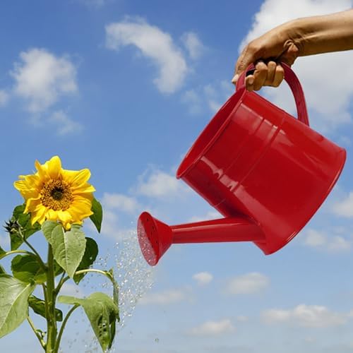 0.26 Gallon Small Watering Can, Small Modern Rustproof Indoor Watering Cans for House Plants with Sprinkler Head and Handle,Durable Decorative Lightweight Water Can for Plants for Outdoor Flower - Image 4